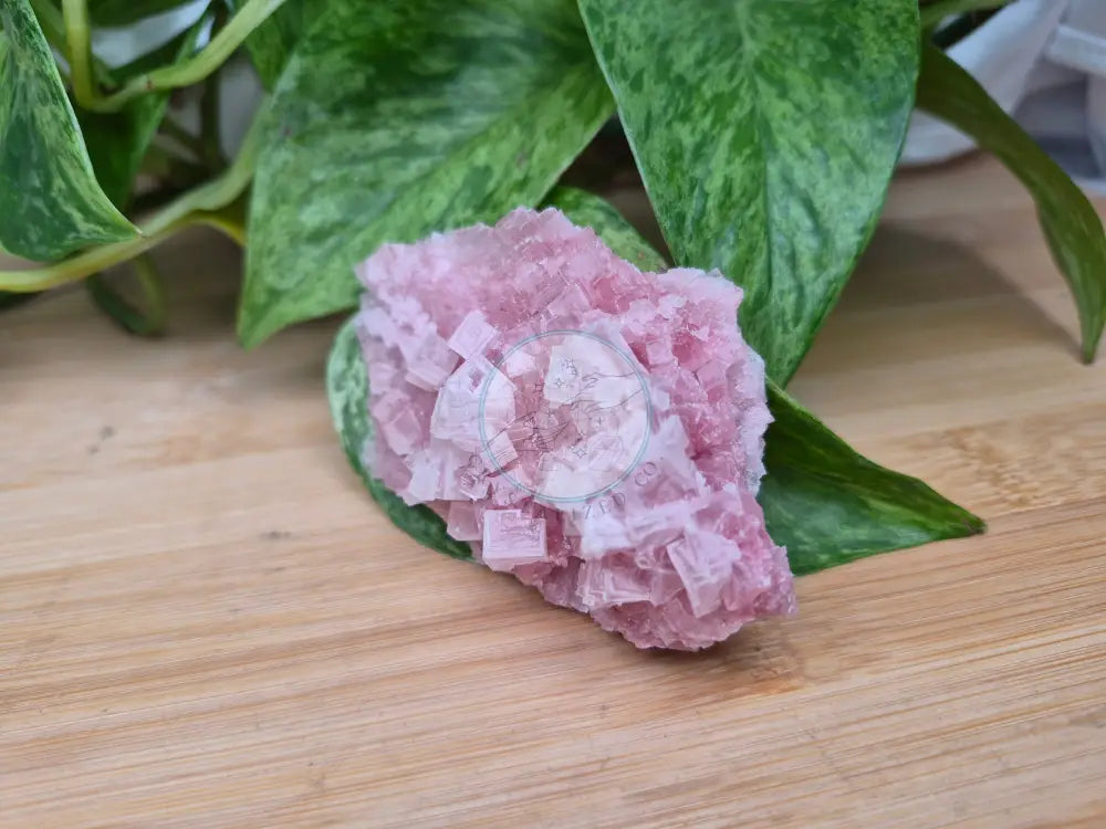 HALITE SPECIMEN