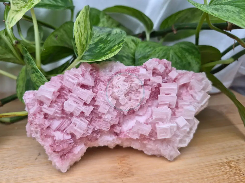 HALITE SPECIMEN