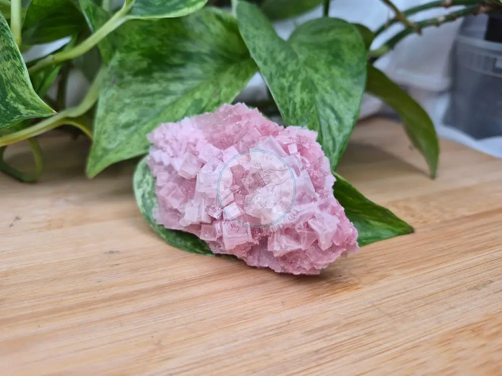 HALITE SPECIMEN