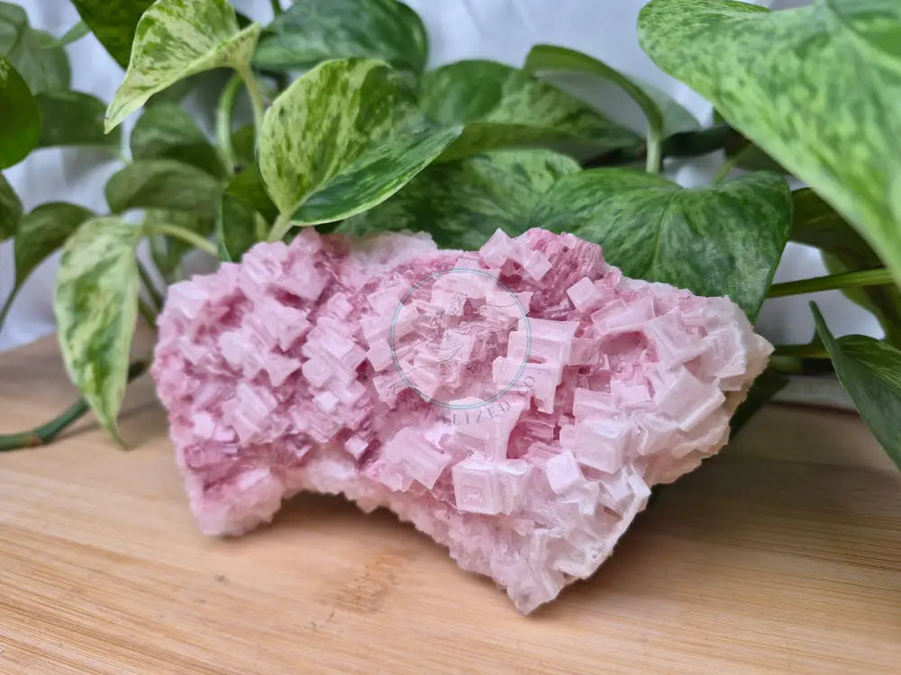HALITE SPECIMEN