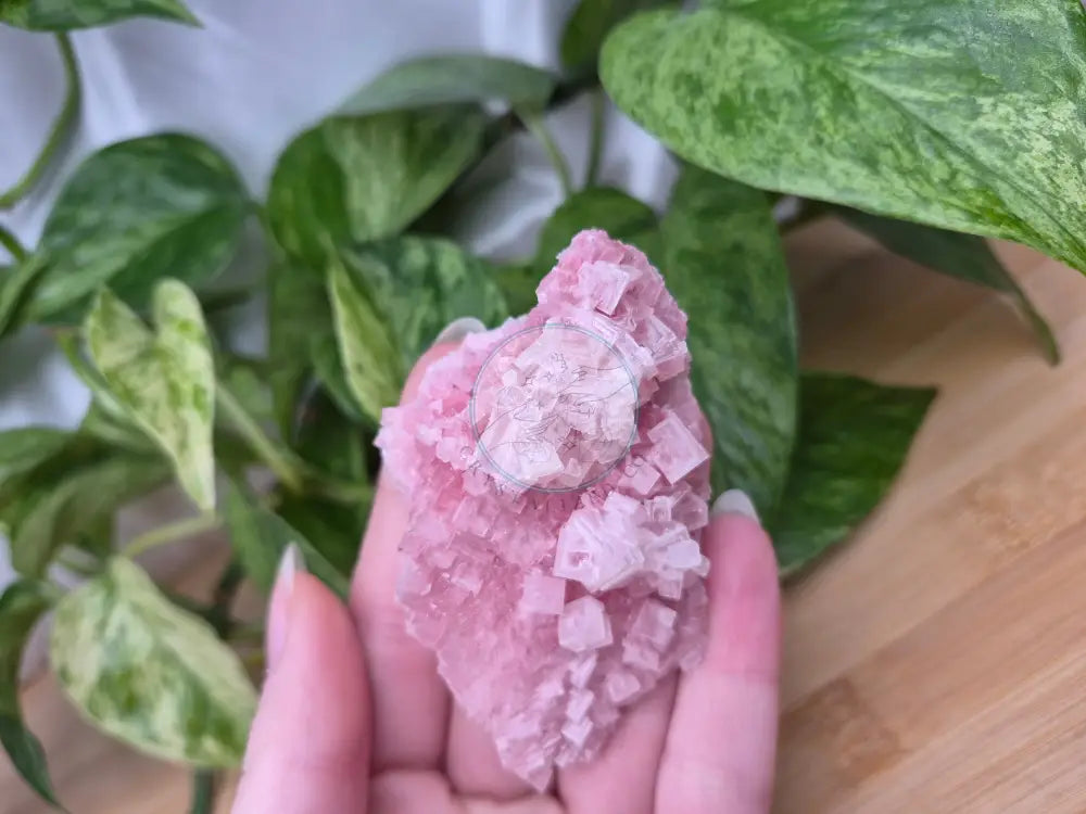 HALITE SPECIMEN