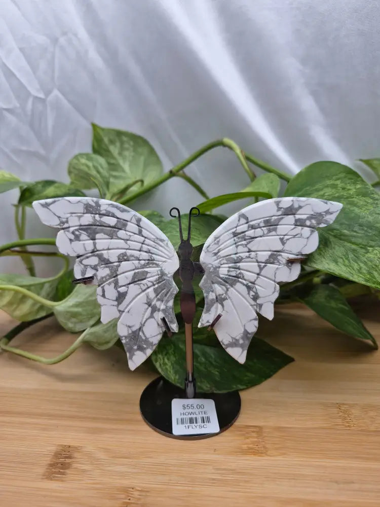HOWLITE BUTTERFLY WINGS