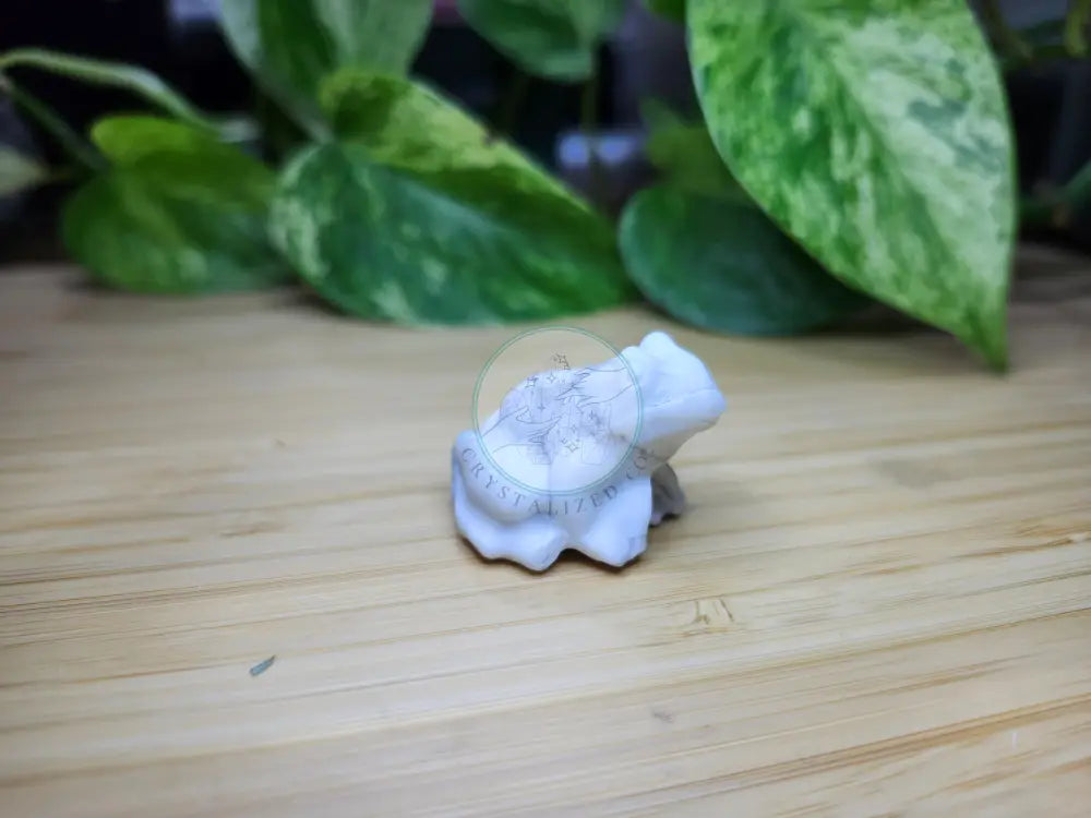 HOWLITE FROG