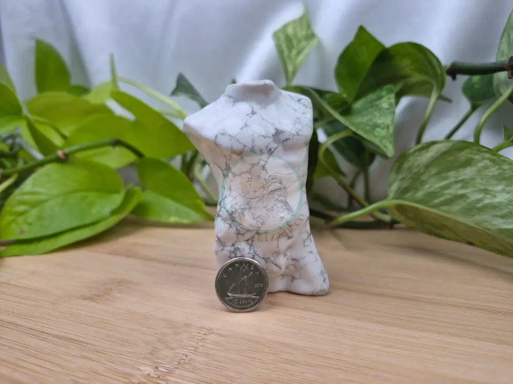 HOWLITE MAN BODY