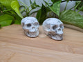 HOWLITE SKULL MD