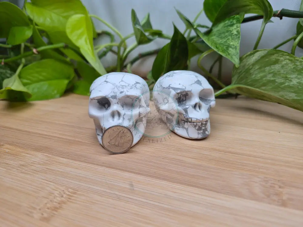 HOWLITE SKULL MD