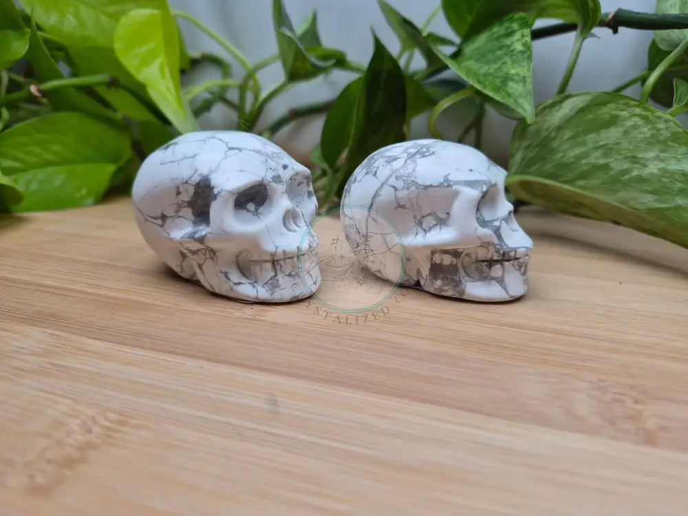 HOWLITE SKULL MD