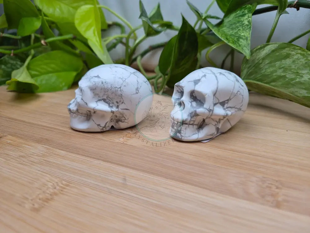 HOWLITE SKULL MD