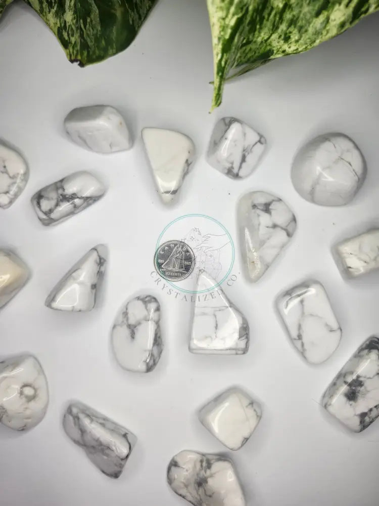 HOWLITE TUMBLE STONES