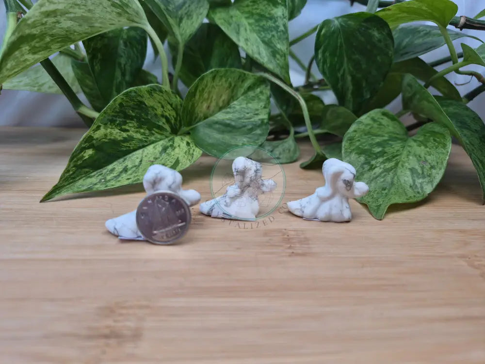 HOWLITE ZERO DOG
