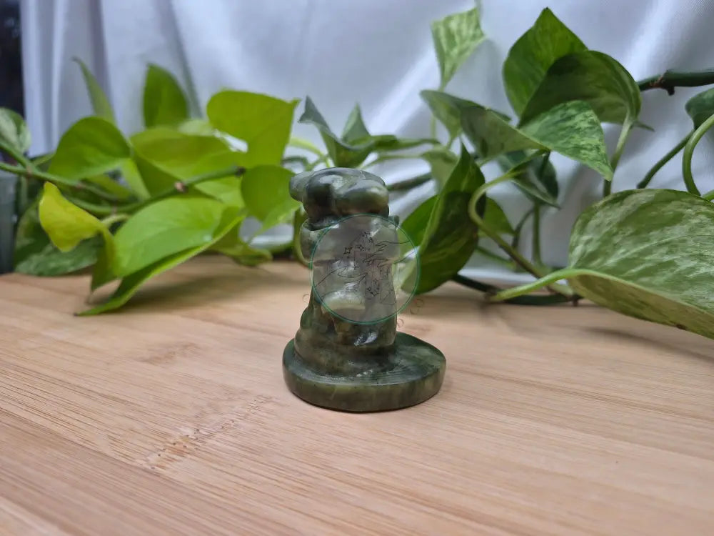 JADE GROGU MD