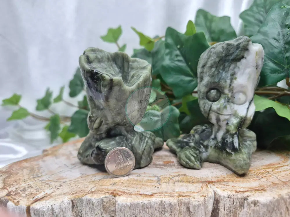 JADE GROOT