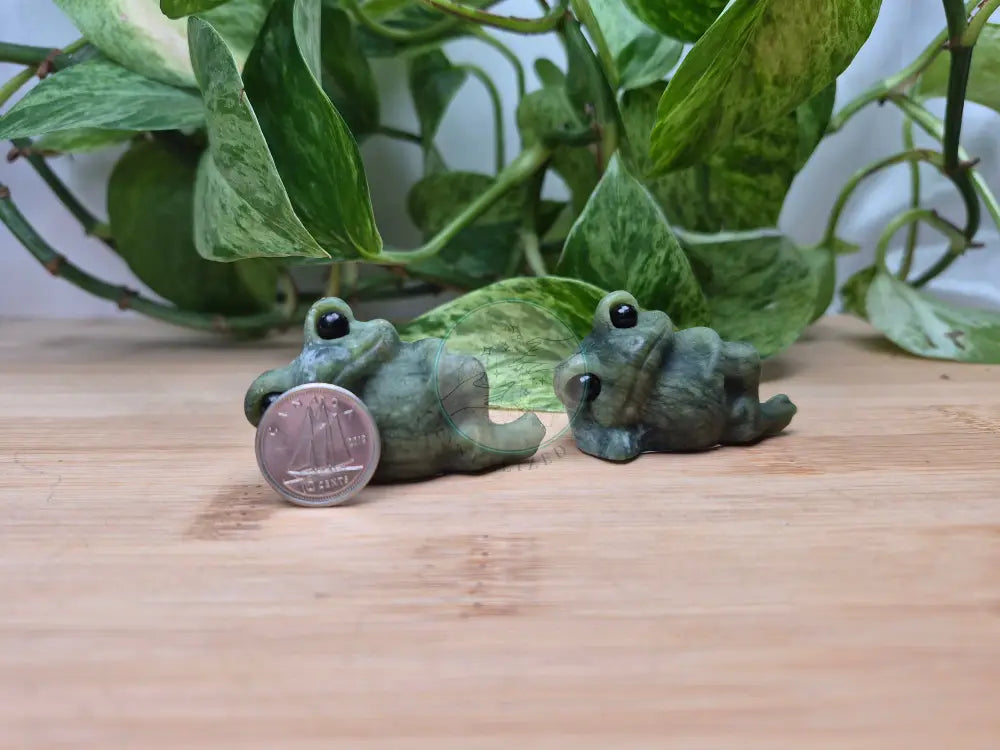 JADE LAYING DOWN FROG