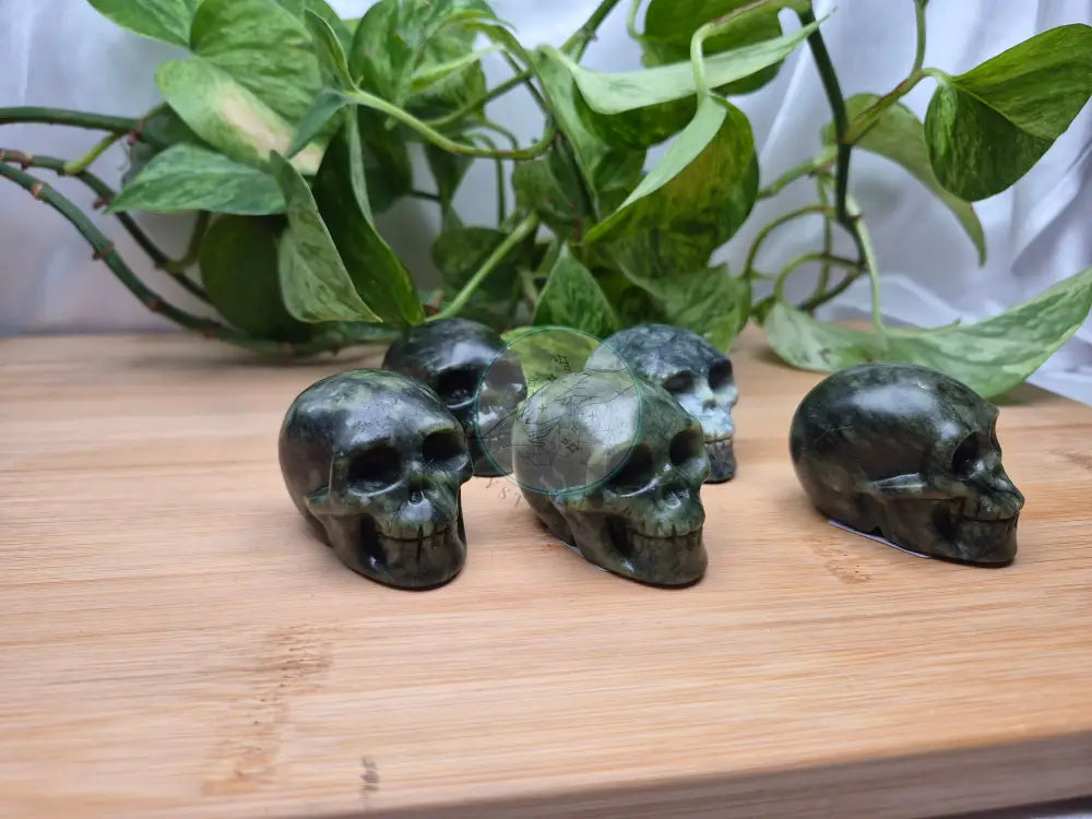 JADE SKULL MD