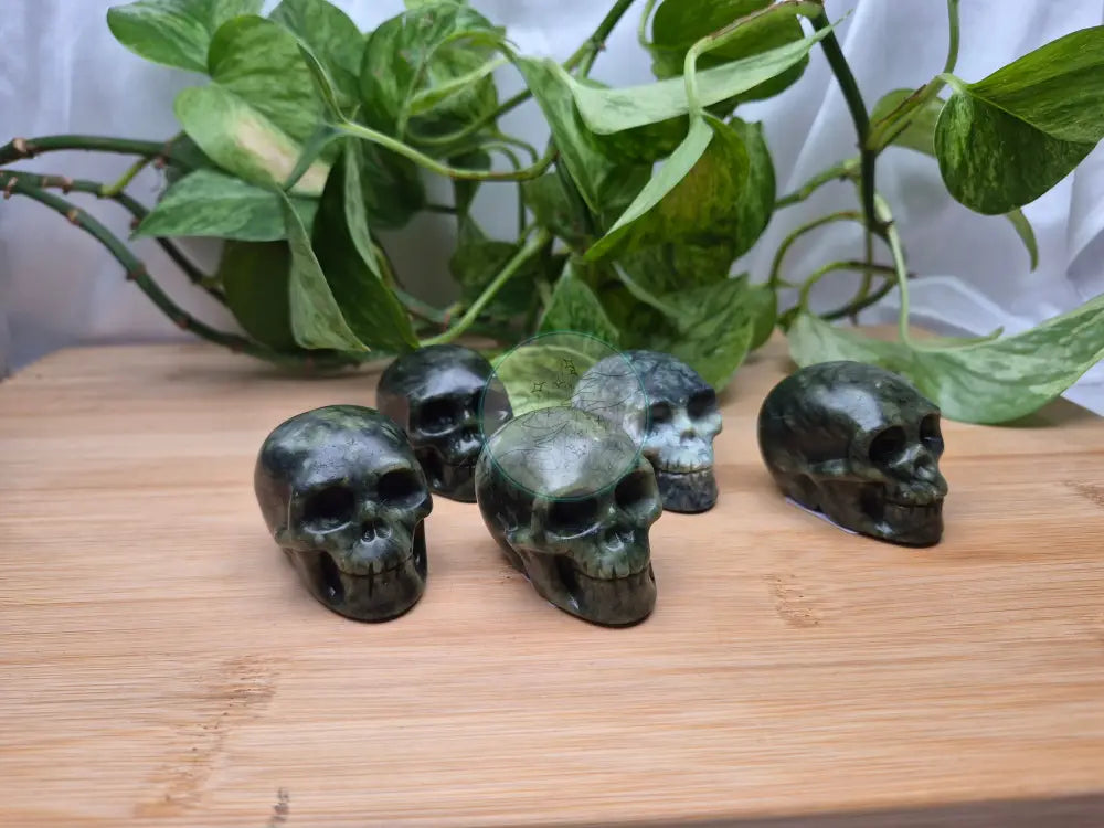 JADE SKULL MD