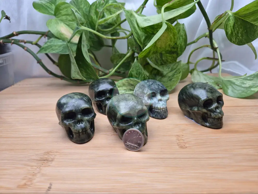 JADE SKULL MD