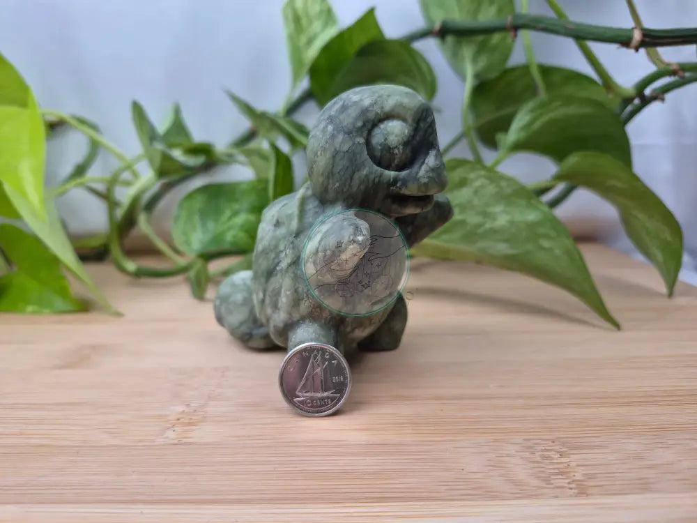 JADE SQUIRTLE