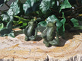 JADE THINKING FROG