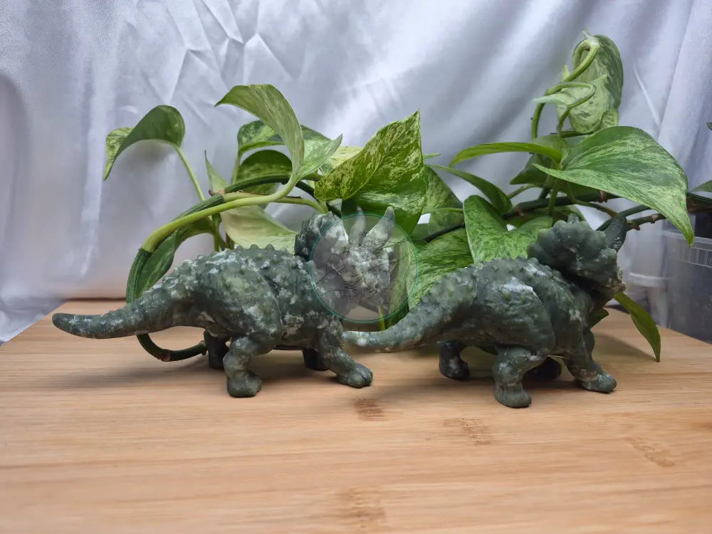 JADE TRICERATOPS