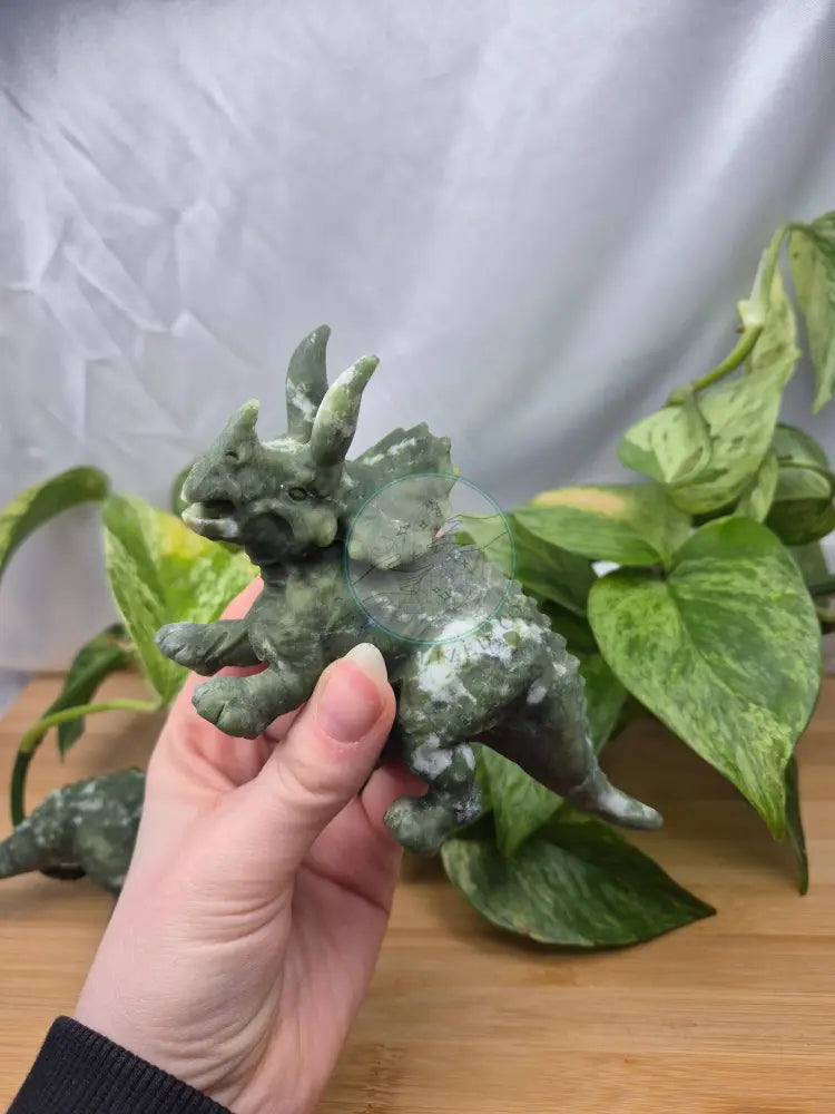 JADE TRICERATOPS
