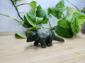 JADE TRICERATOPS