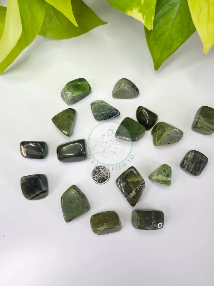 JADE TUMBLED STONE - TUMBLED STONES