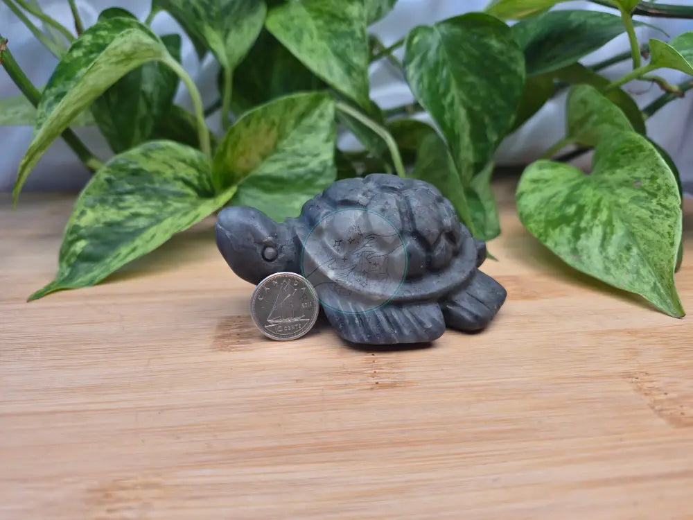 JADE TURTLE