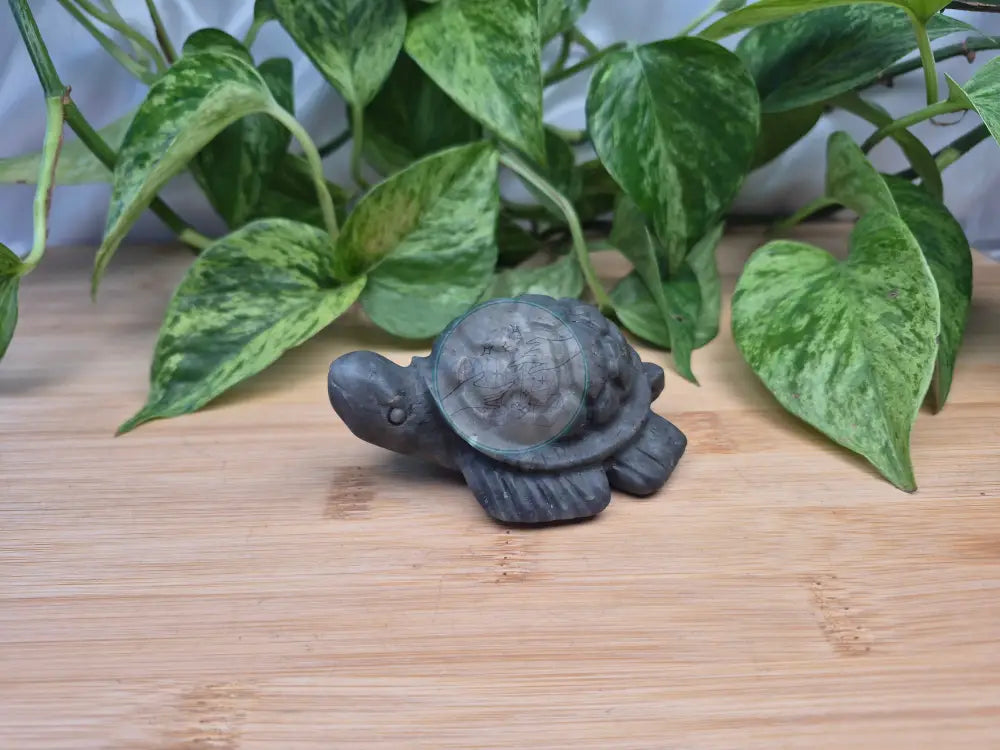 JADE TURTLE