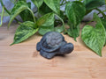 JADE TURTLE