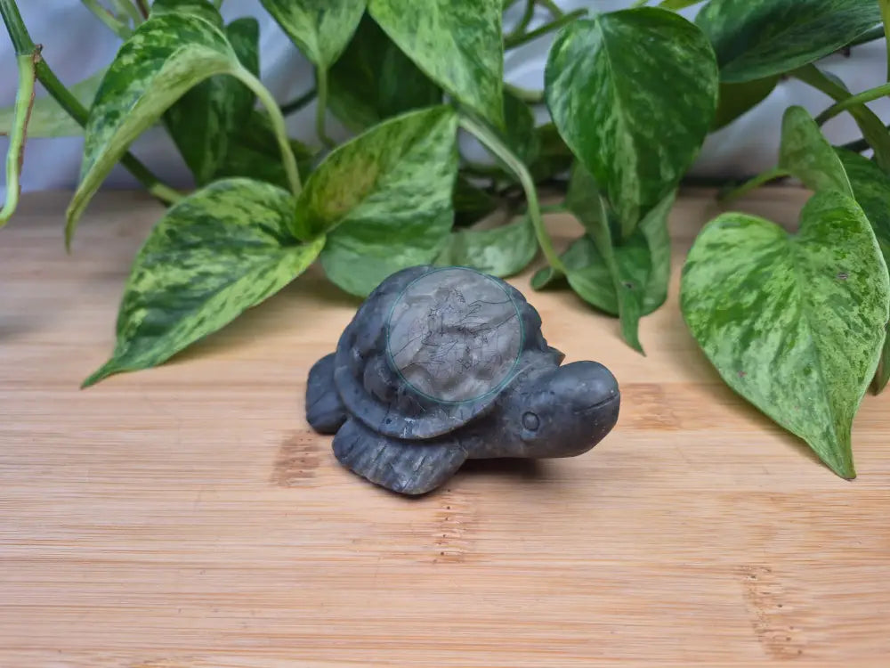 JADE TURTLE