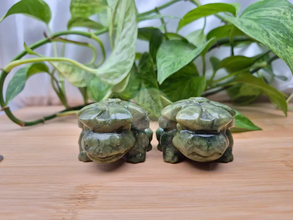 JADE VENUSAUR