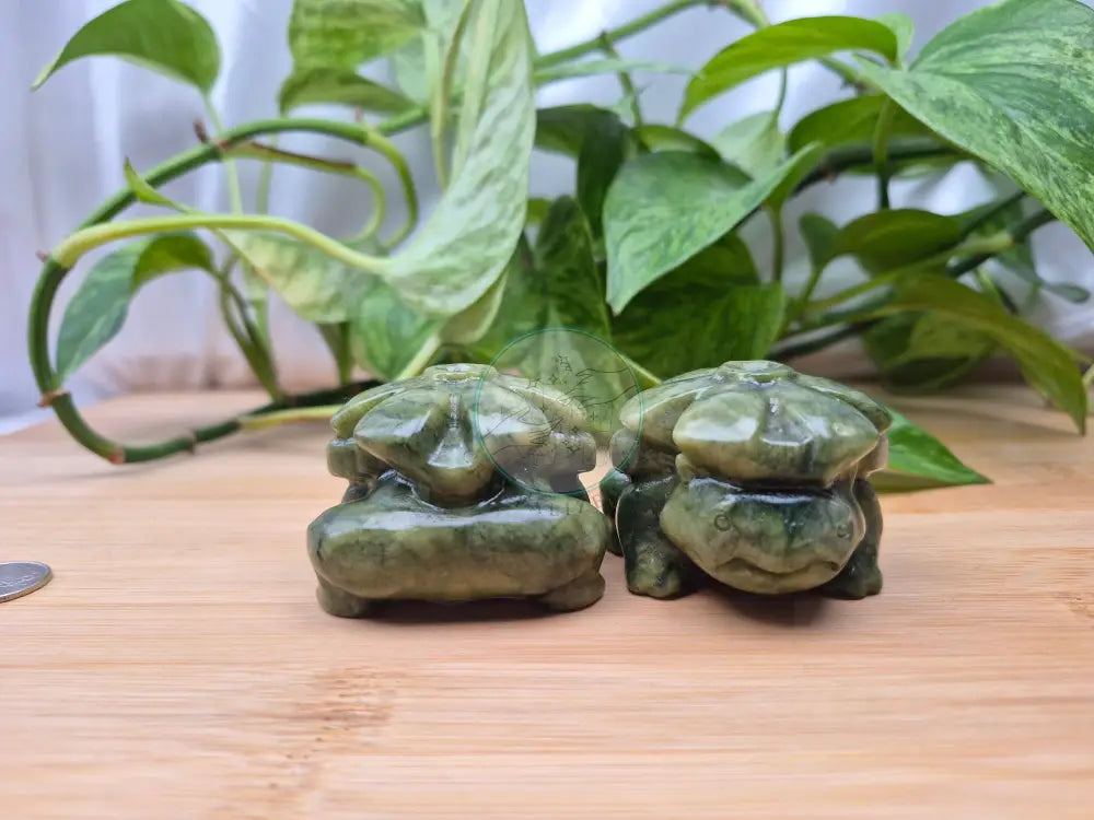 JADE VENUSAUR
