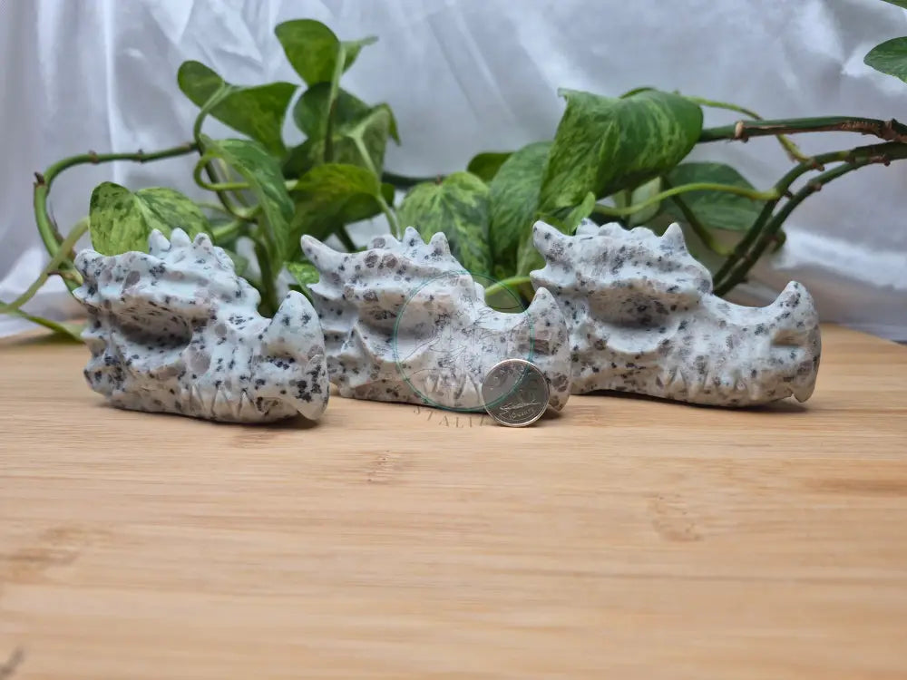 KIWI JASPER DRAGON HEAD