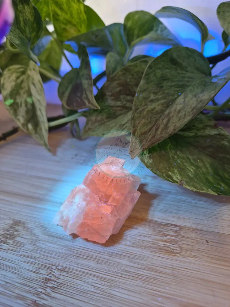 KUNZITE ROUGH CHUNK 50g