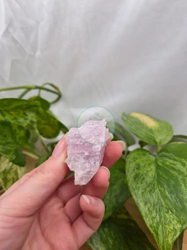 KUNZITE ROUGH CHUNK 50g
