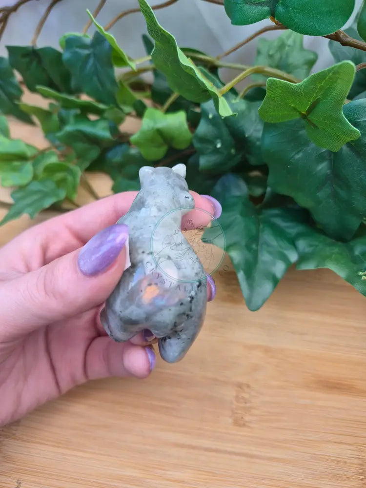 LABRADORITE BEAR