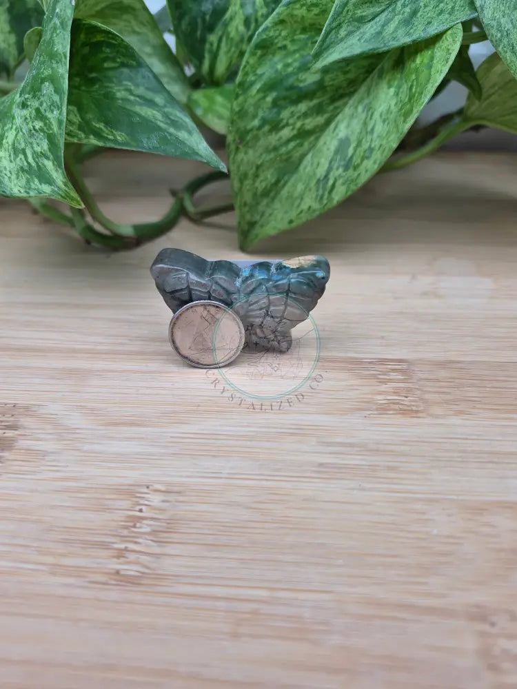 LABRADORITE BUTTERFLY