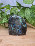 LABRADORITE FREEFORM