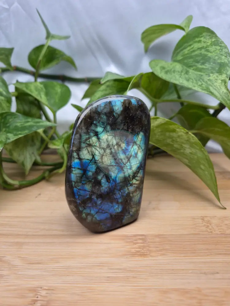 LABRADORITE FREEFORM