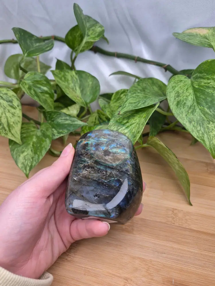 LABRADORITE FREEFORM