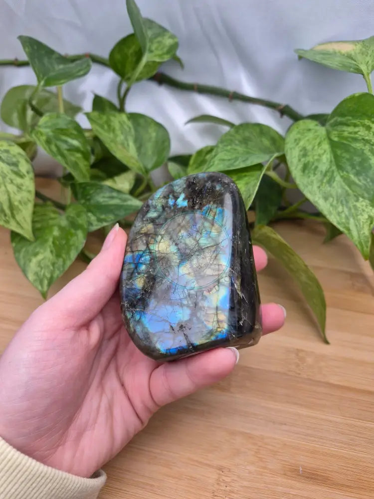 LABRADORITE FREEFORM