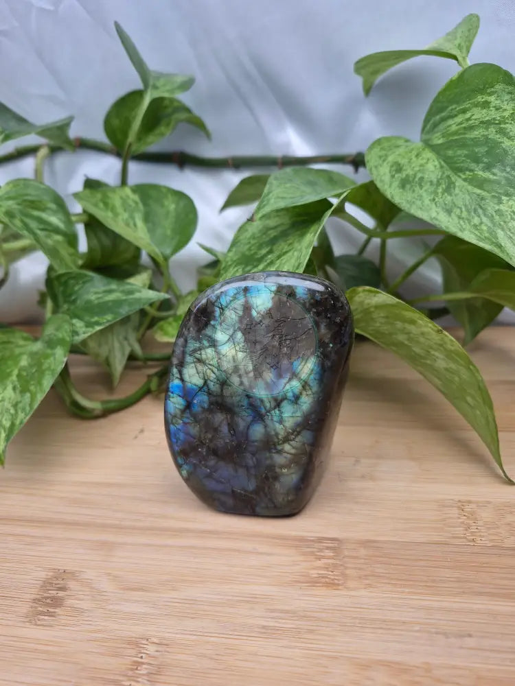 LABRADORITE FREEFORM
