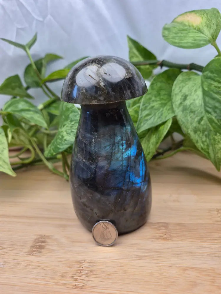 LABRADORITE MUSHROOM
