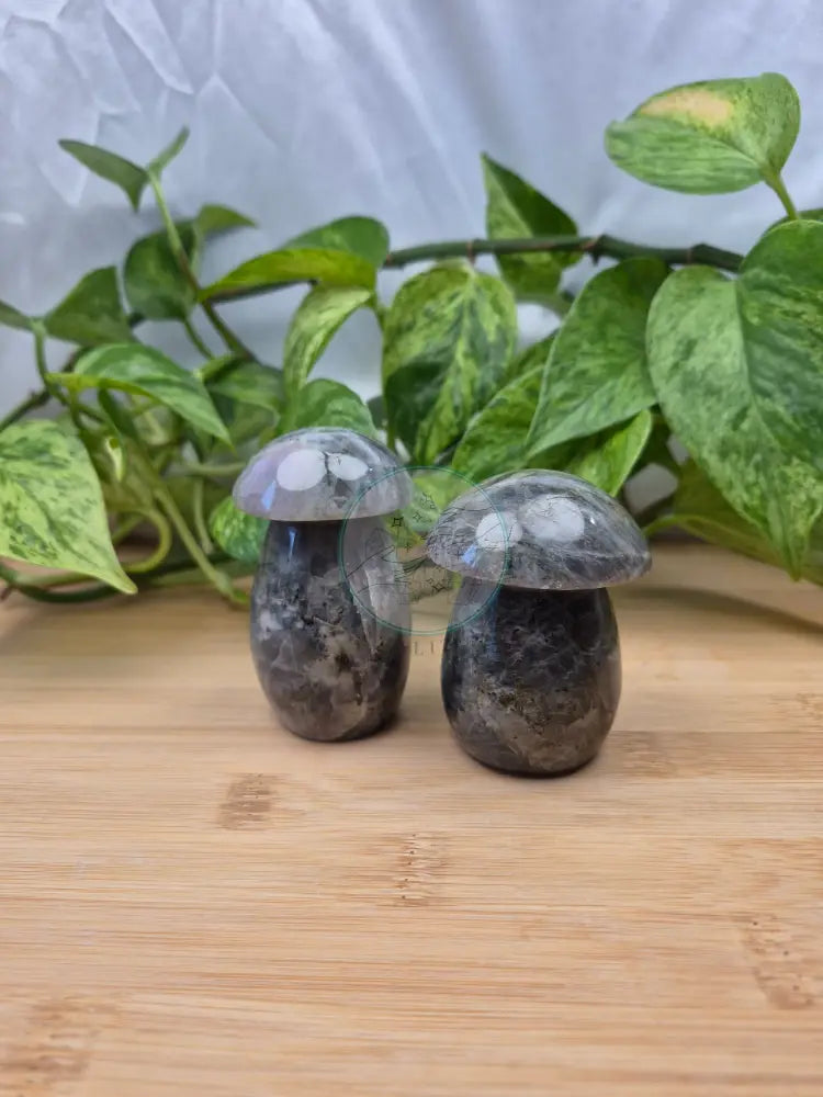 LABRADORITE MUSHROOM
