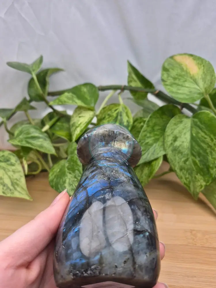 LABRADORITE MUSHROOM