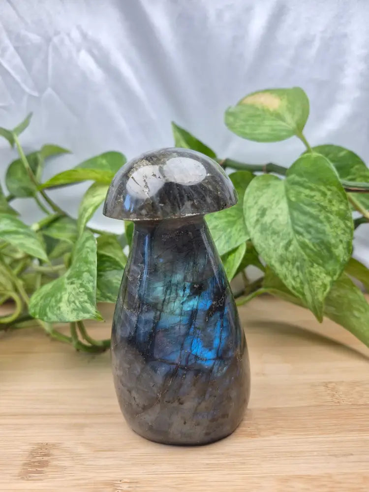 LABRADORITE MUSHROOM