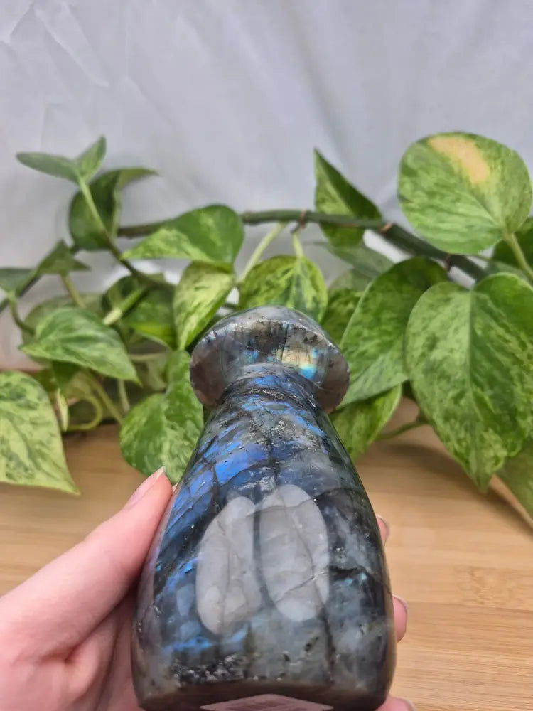 LABRADORITE MUSHROOM