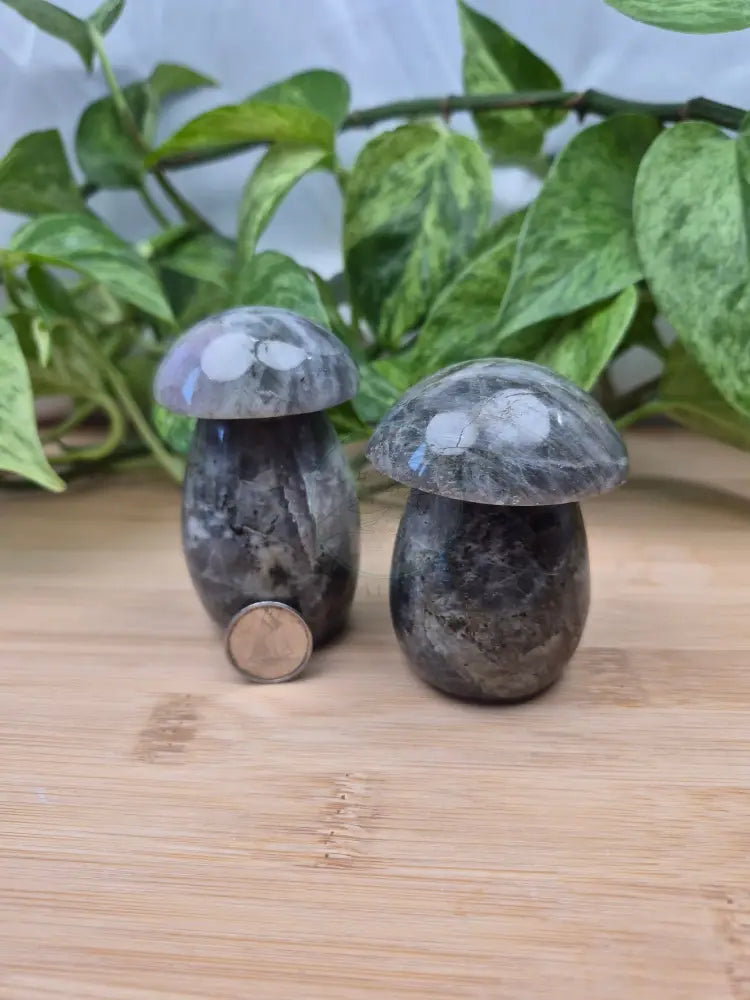 LABRADORITE MUSHROOM