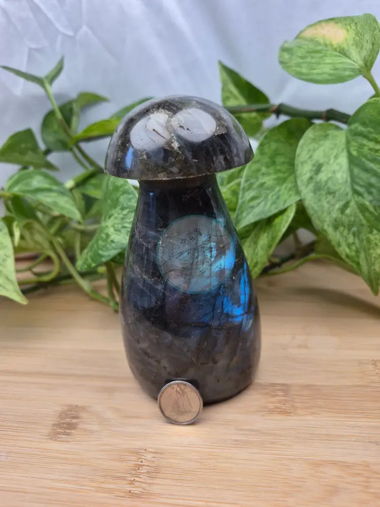 LABRADORITE MUSHROOM
