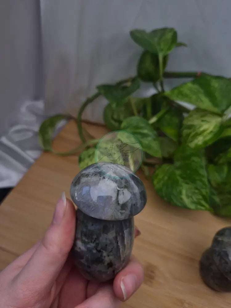 LABRADORITE MUSHROOM